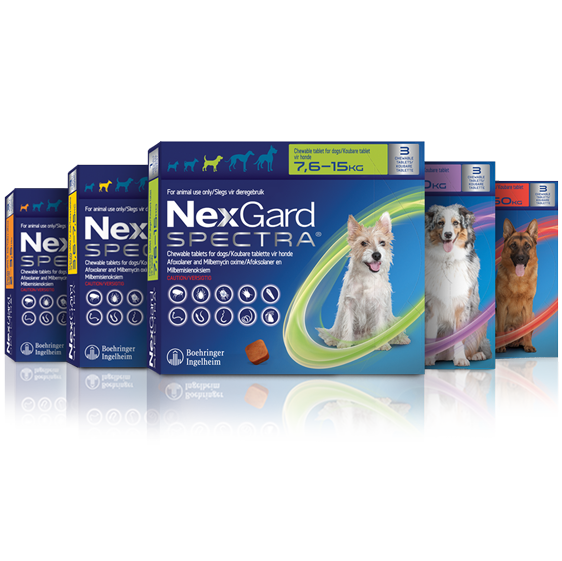 NexGard Spectra  pack shots